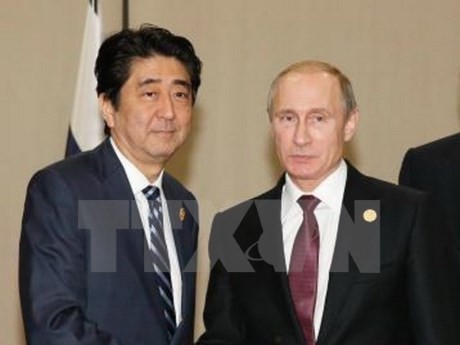 Лидеры РФ и Японии провели встречу во время саммита G20 - ảnh 1